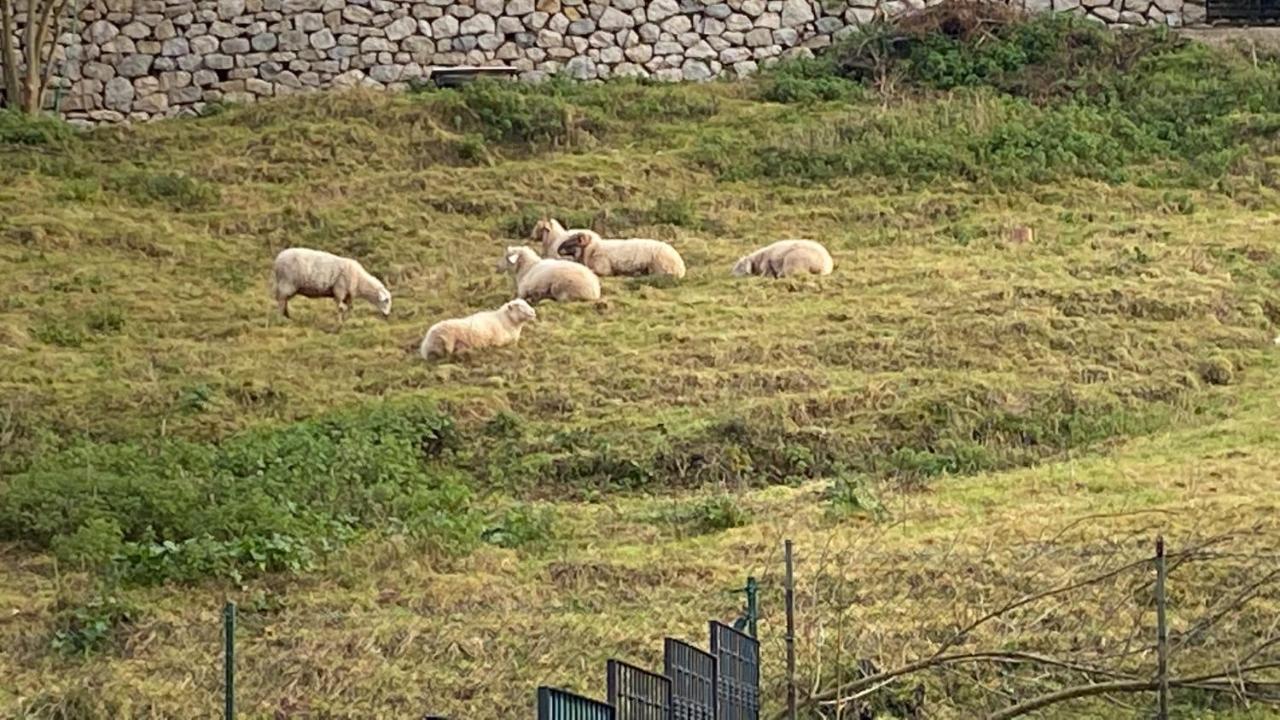 La Casa De Fito Cerca Del Centro De Comillas Bagian luar foto